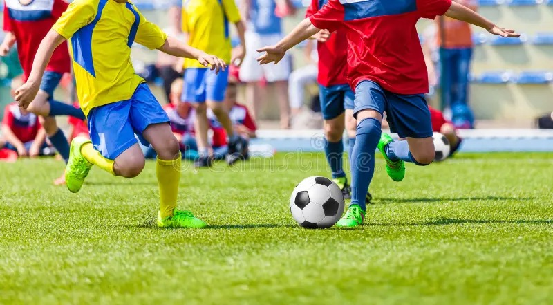 阿根廷中锋帕尼切利因十字韧带撕裂缺席2026世界杯
